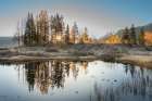 USA-Colorado-Uncompahgre National Forest Pond reflections on frosty sunrise Art Print